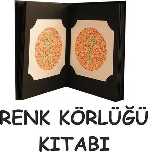 İshihara kitabı