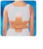 Jeweet korse jeweet hyperextansion korse gövde yüksekliği 50--60 cm medi̇um
